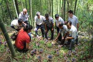 鍐滄潙鑷村瘜绉嶆濂介」鐩湁鍝簺锛熷啘鏉戠妞嶈繖浜涙渶璧氶挶锛?jpg